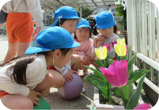 花を見ている園児
