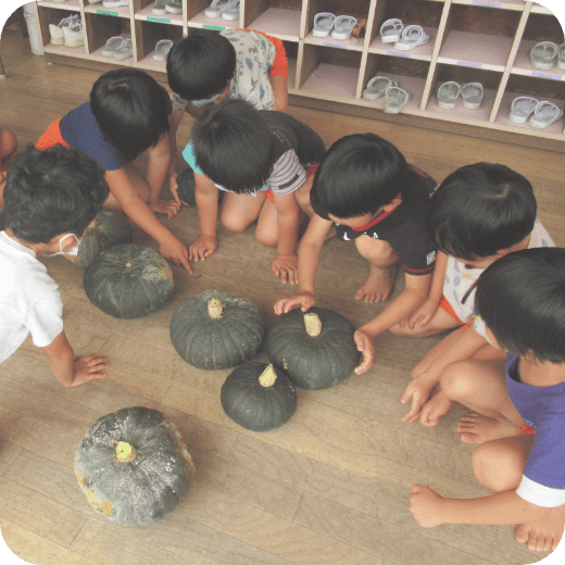 かぼちゃと子どもたちの写真